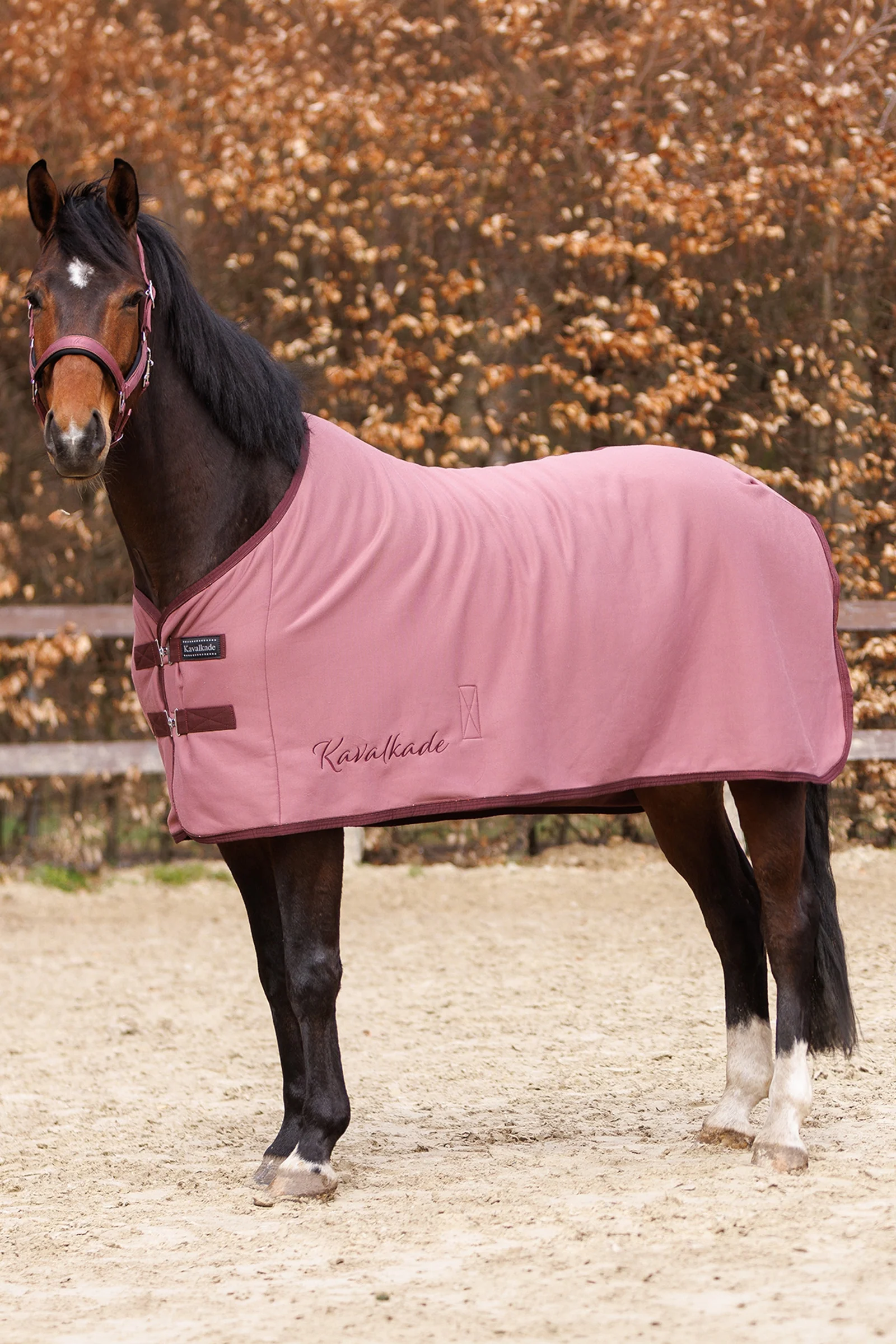Graceful jersey dækken Mauve/Bordeaux 135